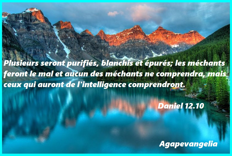 Daniel 12.10
